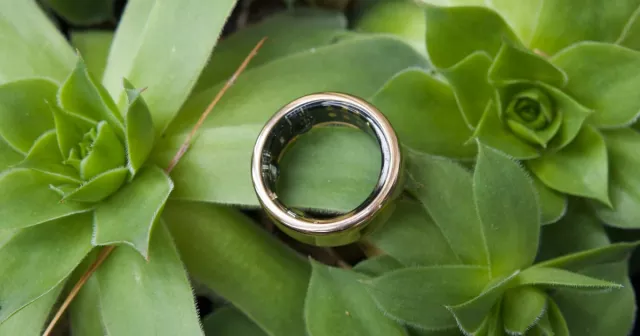 Il nostro anello è impermeabile?