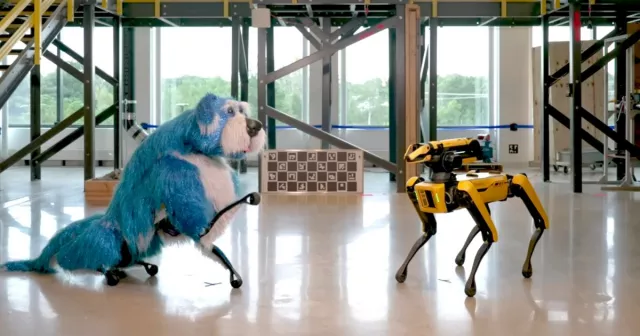 Il robot simile a un cane di Boston Dynamics indossa un costume da cane e balla