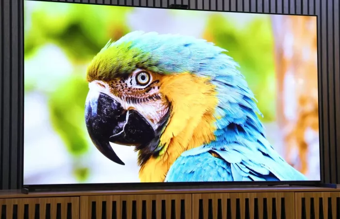 Sony A95L QD-OLED: il miglior TV secondo gli esperti
