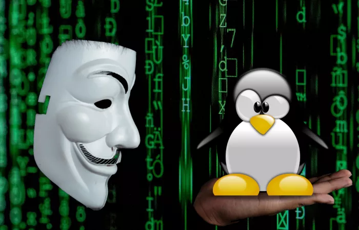 Arch Linux sotto attacco DDoS da due settimane: ancora ignoti i responsabili