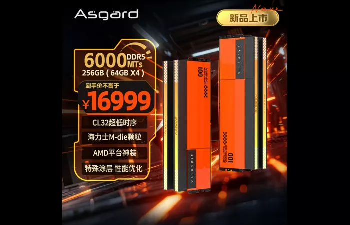 Asgard lancia RAM da 256GB: costosa ma competitiva