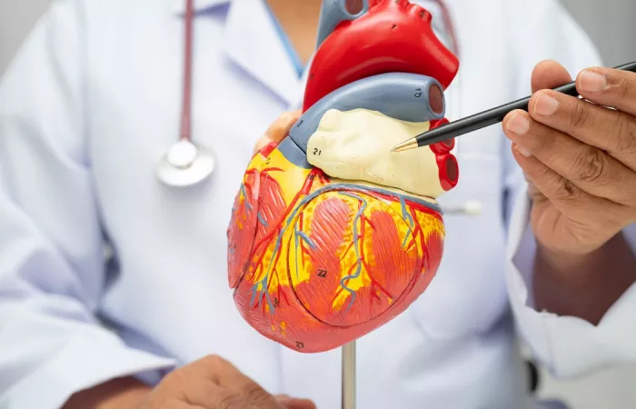 Screening cardiaco: perché è fondamentale a ogni età