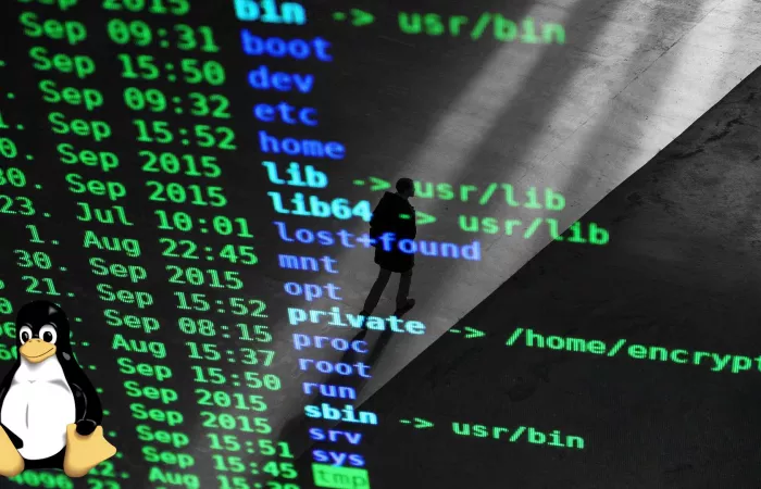 AMD sperimenta un driver Radeon per Linux scritto in Python grazie all’AI