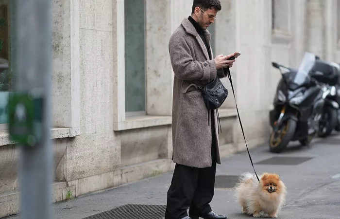 Fi lancia un chatbot AI per monitorare la salute dei cani