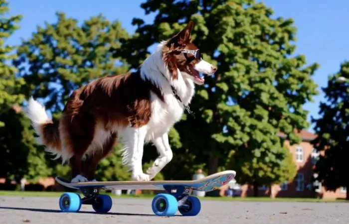 OpenAI chiude Sora: stop al generatore video AI