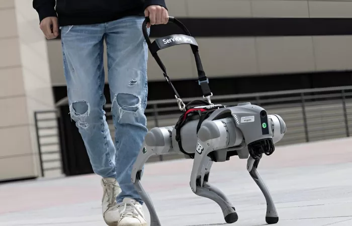 Un robot cane guida con ChatGPT per i non vedenti