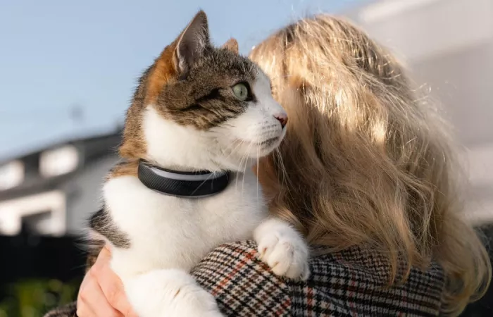 Tractive lancia collari smart con health tracking e GPS per cani e gatti