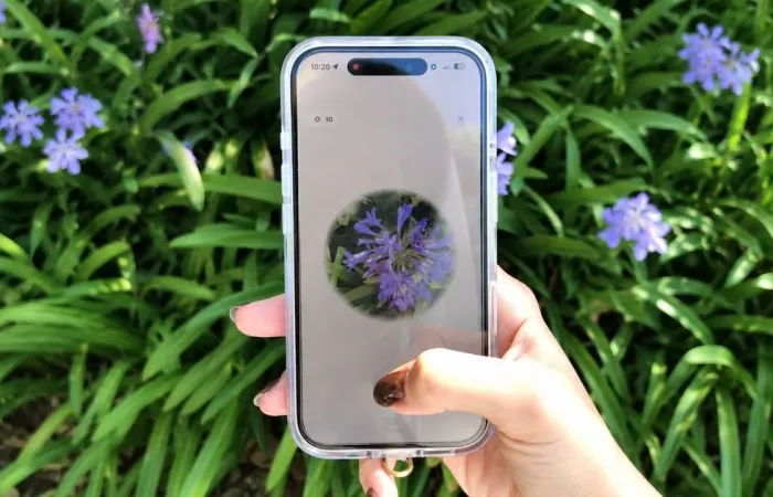 flormie trasforma le passeggiate in una caccia digitale ai fiori