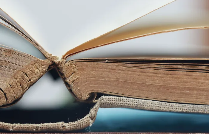 Amazon, libri rari distrutti per addestrare modelli AI