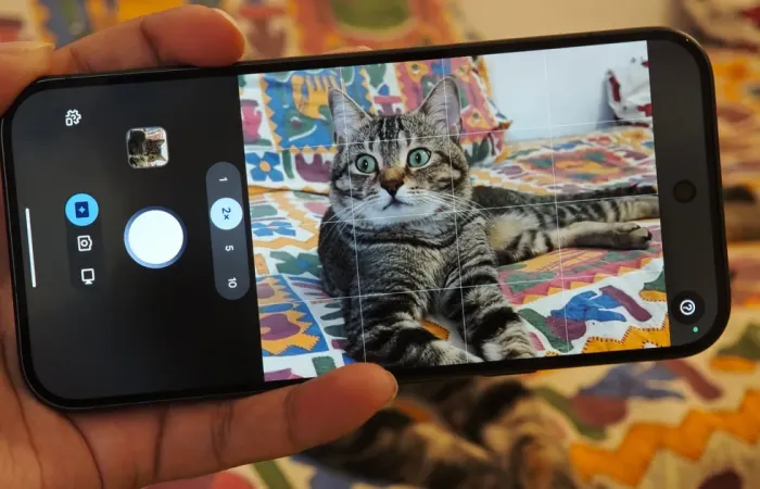 Pixel 11 Pro introduce Magic Capture: scatti perfetti anche con animali in movimento