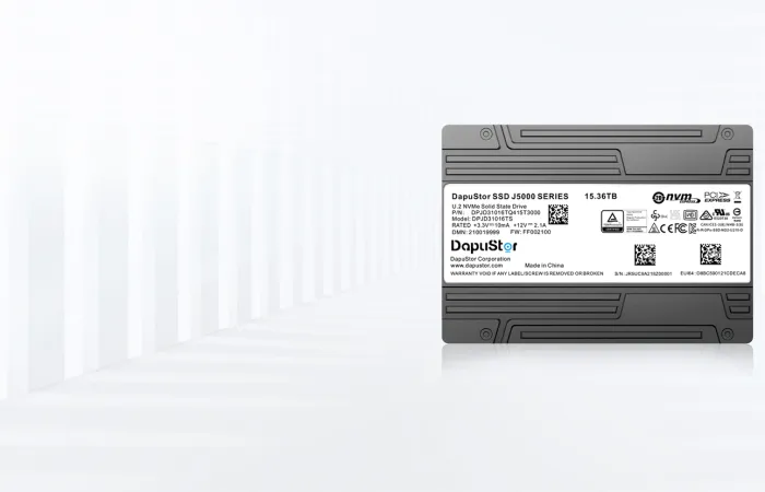 DapuStor integra pSLC fisso nei nuovi SSD enterprise su base QLC