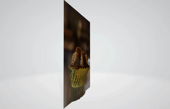 Canon lancia DP3D: immagini RAW diventano modelli 3D